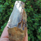 Created millions of years ago, petrified and agatized wood is found around the globe in numerous locations.  The stones’ distinctive appearance is determined by different conditions that include the tree species that was buried, the location and type of geological event that buried the trees,