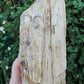 Are you the kind of person who understands the supportive energies of natural semi-precious gemstones??  Please check out this beauty: balance, calmness, gentle opening to transformation, are right here for YOU!!!  Along with the sheer wonder and beauty, petrified wood 