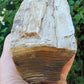 Along with the sheer wonder and beauty, petrified wood has been used in ancient and present day civilizations for stabilizing the body’s defenses, promoting balance and calmness and allowing the body to heal in a relaxed, de-stressed environment.   Petrified wood 