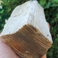 Created millions of years ago, petrified and agatized wood is found around the globe in numerous locations.  The stones’ distinctive appearance is determined by different conditions that include the tree species that was buried, the location and type of geological event that buried the trees, 