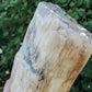 Along with the sheer wonder and beauty, petrified wood has been used in ancient and present day civilizations for stabilizing the body’s defenses, promoting balance and calmness and allowing the body to heal in a relaxed, de-stressed environment. 