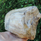 Brought to you from the mountains of Montana, this treasured specimen represents amazing geological transformations and the wondrous beauty of Mother Earth.