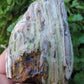 Montana Petrified/Agatized Wood Specimen