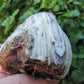 The stones’ distinctive appearance is determined by different conditions that include the tree species that was buried, the location and type of geological event that buried the trees, and the minerals present in the silica that ultimately replaced the woods organic composition.