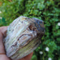 Along with the sheer wonder and beauty, petrified wood has been used in ancient and present day civilizations for stabilizing the body’s defenses, promoting balance and calmness and allowing the body to heal in a relaxed, de-stressed environment. 