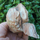 Adorn your home, office, cabin, camper, alter, hearth or collectors case with this unique one of a kind specimen and FEEL the difference. 