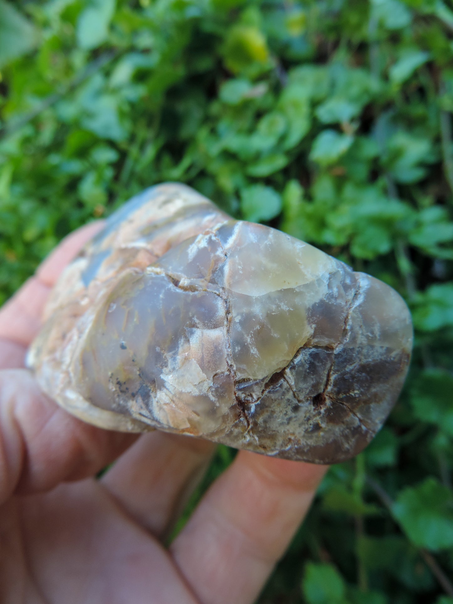 Madison Blue Agate Specimen