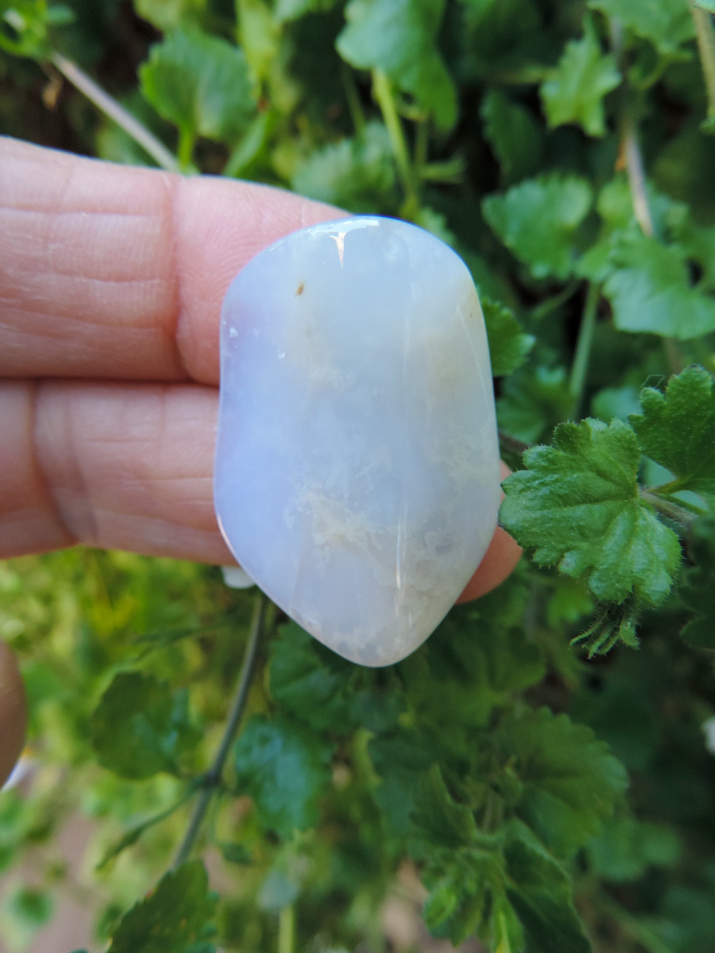 Montana Madison Blue Agate "Worry Stone".