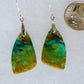 Your Indonesian Blue Opalized Wood Earrings will be shipped the same day in most cases, Monday through Friday.  Orders will be shipped first class USPS, which takes 3-4 days in the U.S. for delivery.