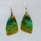   Over thousands of years, the woods’ organic material was replaced with opaline silica rich in copper, iron and manganese minerals.  These rich minerals are responsible for the amazing colors in the stone.  The bail and earring wires are authentic 925 sterling silver.