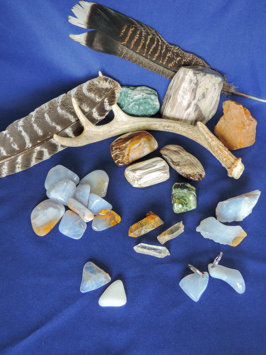 Yellowstone Country Treasure Sampler.  Natural earth items in this sampler package include:  1 antler, $36.99  3 polished petrified wood, $12.00  3 crystals, $1.50  9 assorted sizes polished madison blue agate, $18.00  3 rough petrified wood, $8.00  1 rough jasper, $4.00  2 rough madison blue agate, $4.00  2 madison blue agate key chains, $13.98  2 worry stones, $8.00  2 turkey feathers, $4.00  Total Value... $110.47  Holiday Sale Price - $65.99 (40% off)