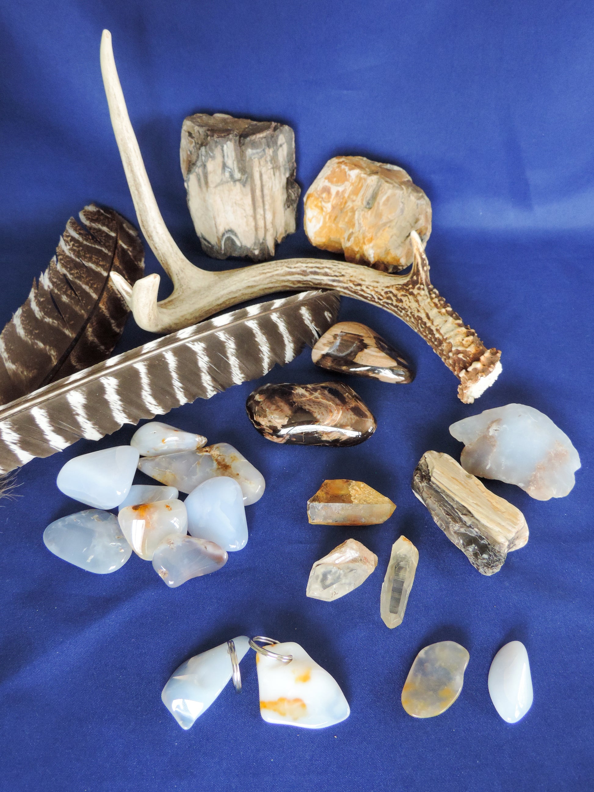 Yellowstone Country Treasure Sampler.  Natural earth items in this sampler package include:  1 antler, $36.99  2 polished petrified wood, $6.00  3 crystals, $1.50  8 assorted sizes polished madison blue agate, $16.00  3 rough petrified wood, $9.00  1 rough madison blue agate, $2.00  2 madison blue agate key chains, $13.98  2 worry stones, $8.00  2 turkey feathers, $4.00  Total Value... $97.47  Holiday Sale Price - $57.99 (40% off)