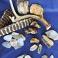 Yellowstone Country Treasure Sampler.  Natural earth items in this sampler package include:  1 antler, $36.99  2 polished petrified wood, $6.00  3 crystals, $1.50  8 assorted sizes polished madison blue agate, $16.00  3 rough petrified wood, $9.00  1 rough madison blue agate, $2.00  2 madison blue agate key chains, $13.98  2 worry stones, $8.00  2 turkey feathers, $4.00  Total Value... $97.47  Holiday Sale Price - $57.99 (40% off)