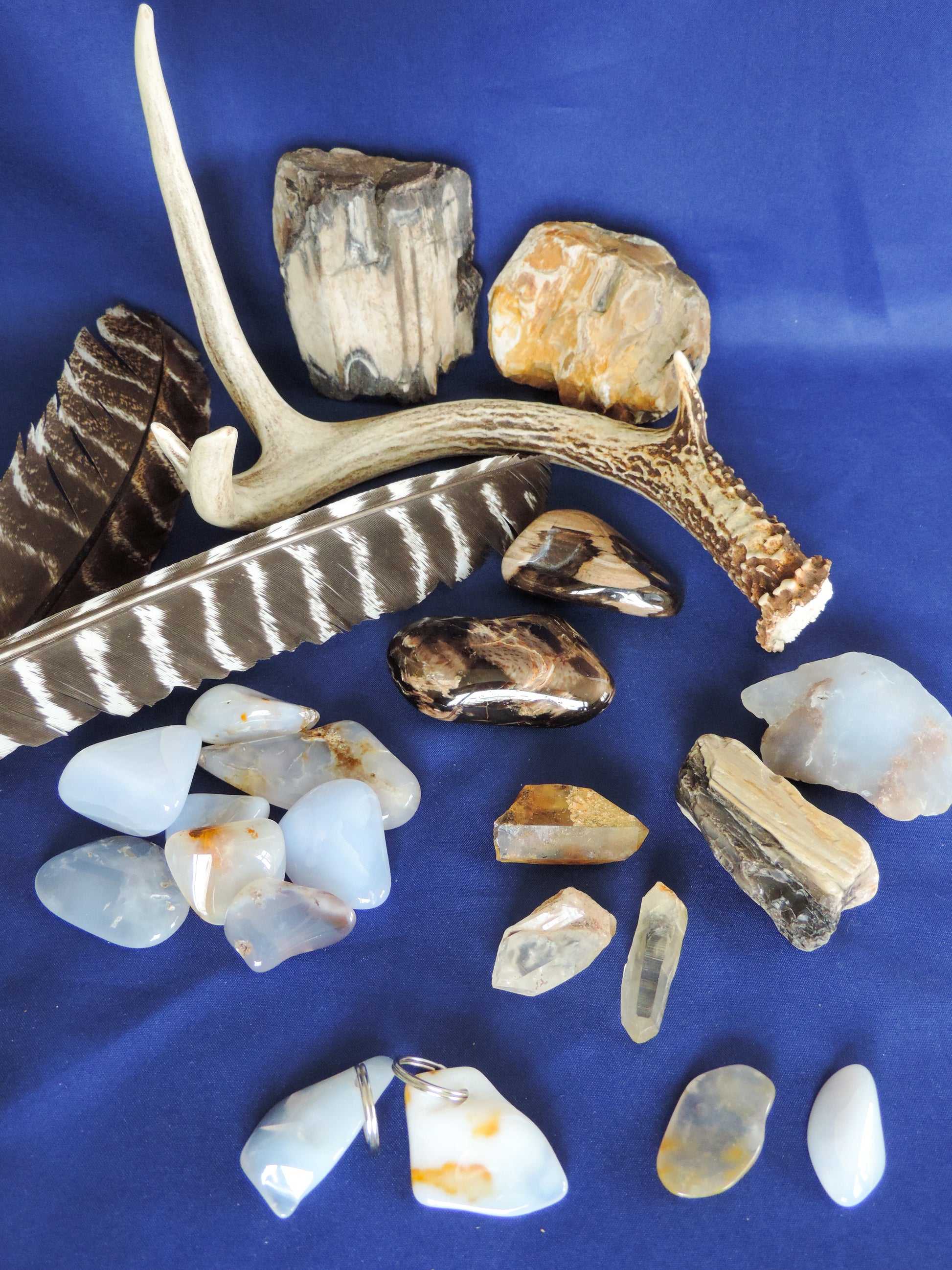 Yellowstone Country Treasure Sampler.  Natural earth items in this sampler package include:  1 antler, $36.99  2 polished petrified wood, $6.00  3 crystals, $1.50  8 assorted sizes polished madison blue agate, $16.00  3 rough petrified wood, $9.00  1 rough madison blue agate, $2.00  2 madison blue agate key chains, $13.98  2 worry stones, $8.00  2 turkey feathers, $4.00  Total Value... $97.47  Holiday Sale Price - $57.99 (40% off)