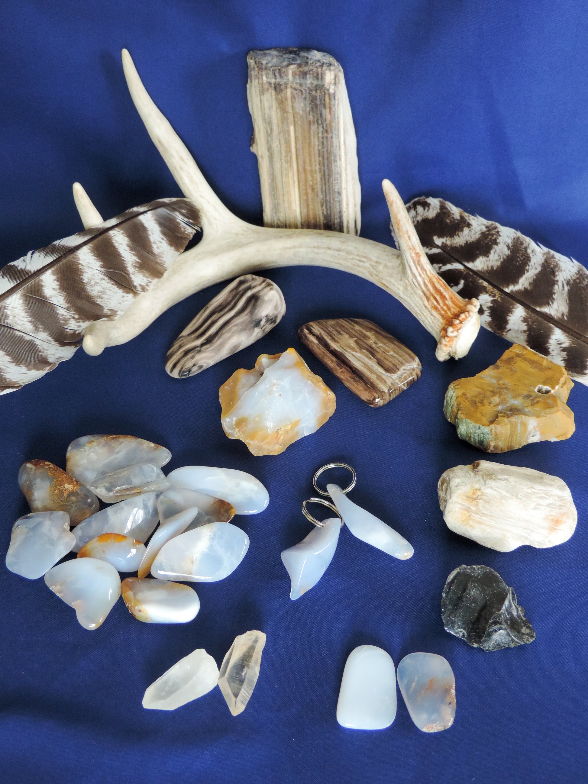 Yellowstone Country Treasure Sampler.  Natural earth items in this sampler package include:  1 antler, $36.99  2 polished petrified wood, $6.00  2 crystals, $1.00  12 assorted sizes polished madison blue agate, $24.00  2 rough petrified wood, $6.00  1 rough jasper, $2.00  1 rough obsidian, $2.00  1 rough madison blue agate, $2.00  2 madison blue agate key chains, $13.98  2 worry stones, $8.00  2 turkey feathers, $4.00  Total Value... $105.97  Holiday Sale Price - $62.99 (40% off