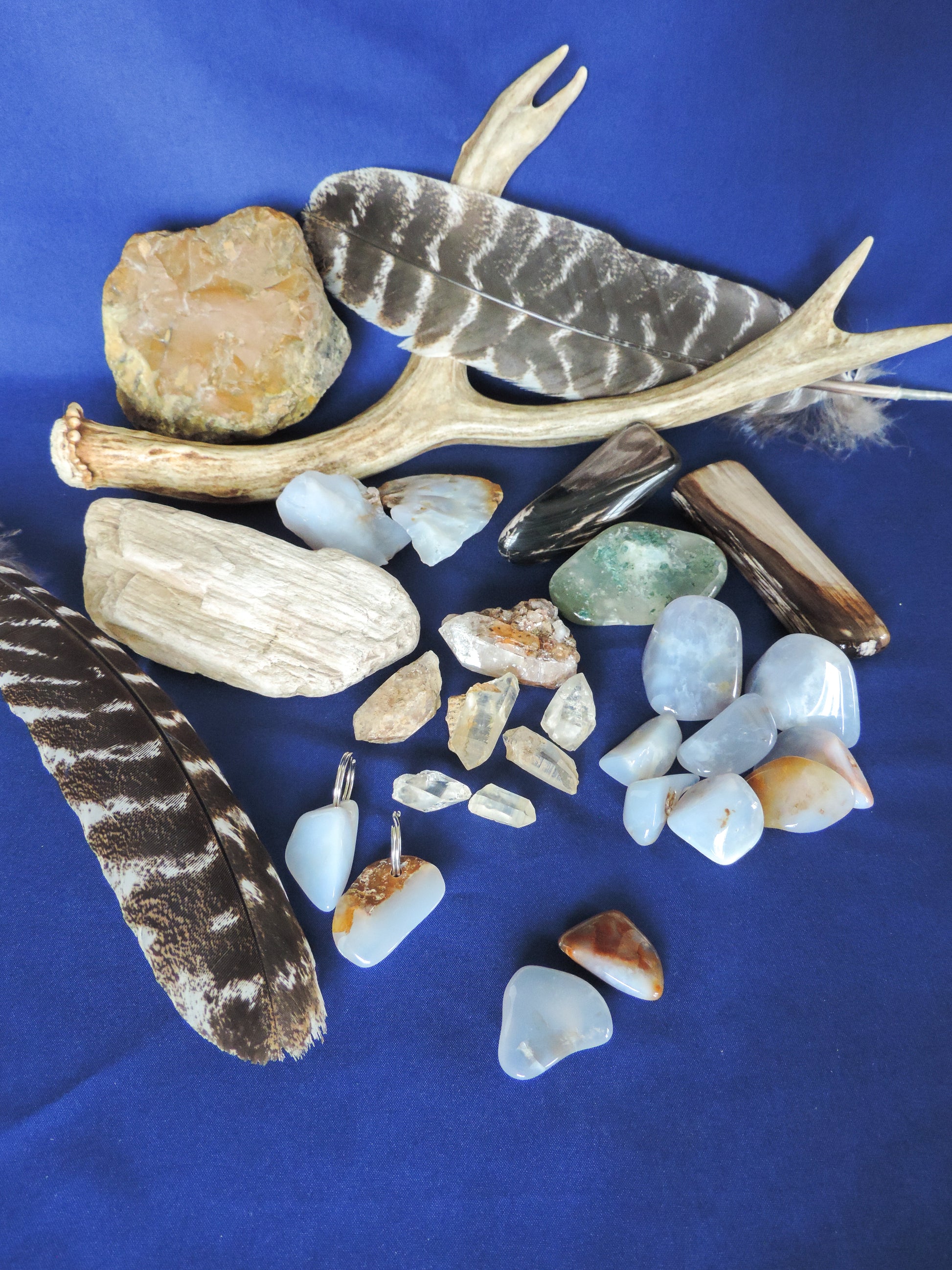 Yellowstone Country Treasure Sampler.  Natural earth items in this sampler package include:  1 antler, $36.99  3 polished petrified wood, $6.00  7 crystals, $3.50  8 assorted sizes polished madison blue agate, $16.00  1 rough petrified wood, $3.00  1 rough jasper, $4.00  2 rough madison blue agate, $4.00  2 madison blue agate key chains, $13.98  2 worry stones, $8.00  2 turkey feathers, $4.00  Total Value... $99.47  Holiday Sale Price - $59.69 (40% off