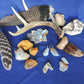 Yellowstone Country Treasure Sampler.  Natural earth items in this sampler package include:  1 antler, $36.99  2 polished petrified wood, $4.00  2 crystals, $1.00  10 assorted sizes polished madison blue agate, $20.00  2 rough petrified wood, $3.00  3 rough jasper, $4.00  1 rough madison blue agate, $2.00  2 madison blue agate key chains, $13.98  2 worry stones, $8.00  2 turkey feathers, $4.00  Total Value... $96.97  Holiday Sale Price - $57.99 (40% off