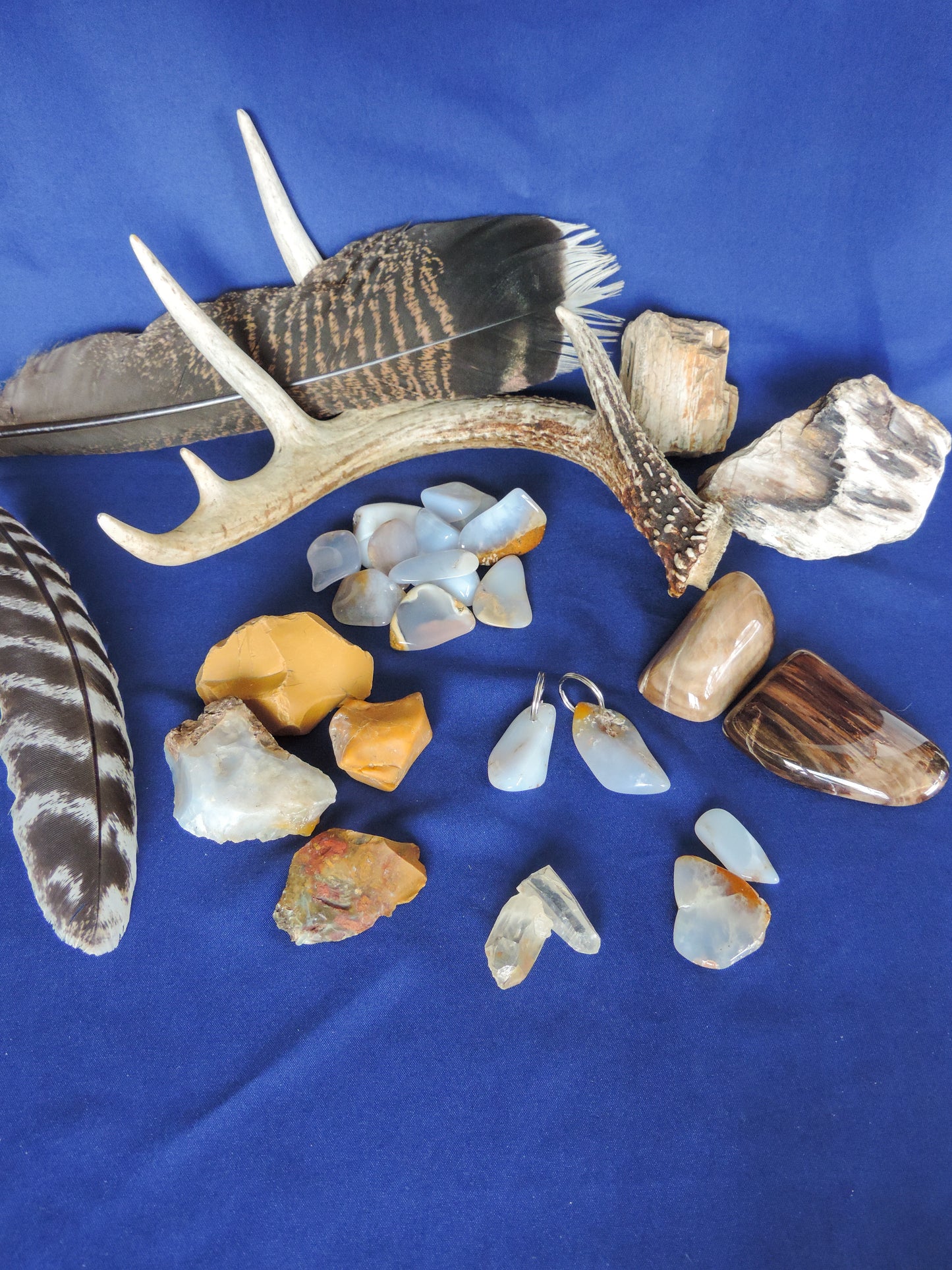 Yellowstone Country Treasure Sampler.  Natural earth items in this sampler package include:  1 antler, $36.99  2 polished petrified wood, $4.00  2 crystals, $1.00  10 assorted sizes polished madison blue agate, $20.00  2 rough petrified wood, $3.00  3 rough jasper, $4.00  1 rough madison blue agate, $2.00  2 madison blue agate key chains, $13.98  2 worry stones, $8.00  2 turkey feathers, $4.00  Total Value... $96.97  Holiday Sale Price - $57.99 (40% off