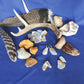 Yellowstone Country Treasure Sampler.  Natural earth items in this sampler package include:  1 antler, $36.99  2 polished petrified wood, $4.00  2 crystals, $1.00  10 assorted sizes polished madison blue agate, $20.00  2 rough petrified wood, $3.00  3 rough jasper, $4.00  1 rough madison blue agate, $2.00  2 madison blue agate key chains, $13.98  2 worry stones, $8.00  2 turkey feathers, $4.00  Total Value... $96.97  Holiday Sale Price - $57.99 (40% off)