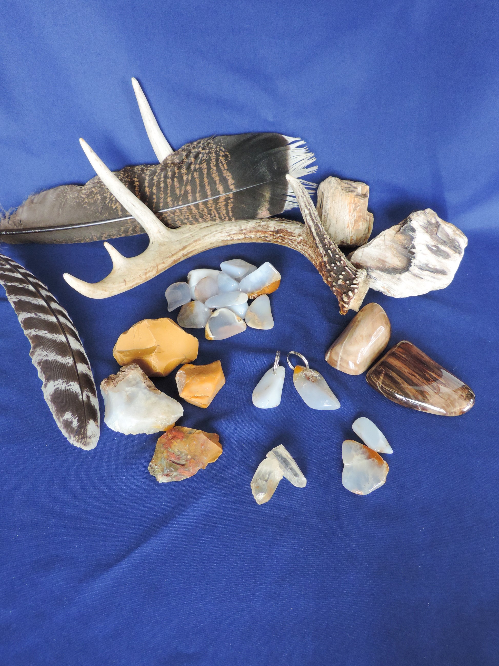 Yellowstone Country Treasure Sampler.  Natural earth items in this sampler package include:  1 antler, $36.99  2 polished petrified wood, $4.00  2 crystals, $1.00  10 assorted sizes polished madison blue agate, $20.00  2 rough petrified wood, $3.00  3 rough jasper, $4.00  1 rough madison blue agate, $2.00  2 madison blue agate key chains, $13.98  2 worry stones, $8.00  2 turkey feathers, $4.00  Total Value... $96.97  Holiday Sale Price - $57.99 (40% off)