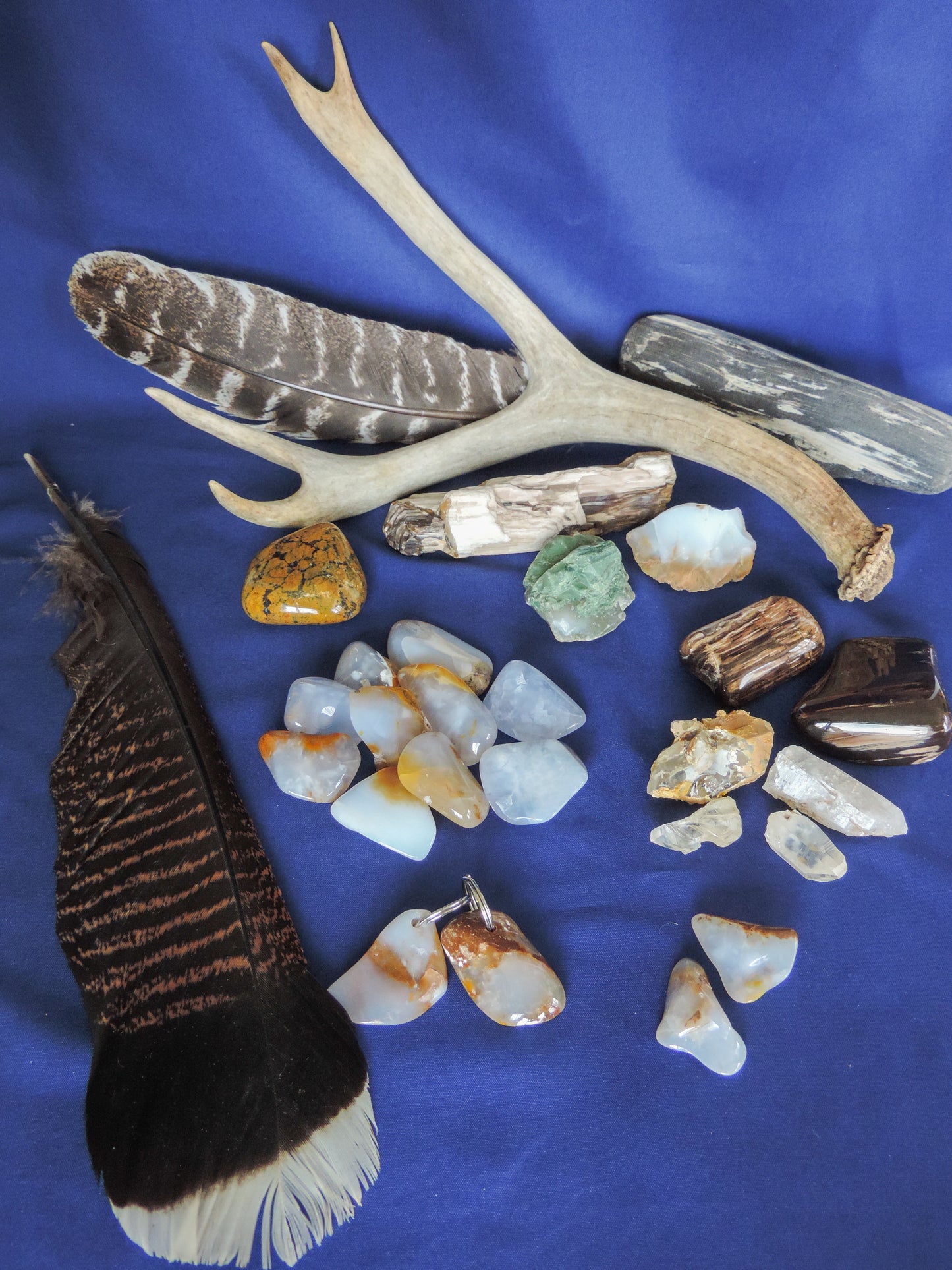 Yellowstone Country Treasure Sampler.  Natural earth items in this sampler package include:  1 antler, $36.99  2 polished petrified wood, $4.00  4 crystals, $2.00  10 assorted sizes polished madison blue agate, $20.00  3 rough petrified wood, $8.00  1 rough madison blue agate, $2.00  1 polished jasper, $2.00  2 madison blue agate key chains, $13.98  2 worry stones, $8.00  2 turkey feathers, $4.00  Total Value... $100.97  Holiday Sale Price - $59.99 (40% off