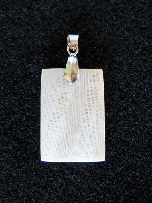 Palm Root Pendant.  Petrified Palm Root comes from the fossilized root system of Indonesian palm trees.  Chalcedony Quartz and Jasper gradually replaced the root wood over millions of years, resulting in a unique material that typically doesn’t have the visible fiber pattern of the tree section but will often have a variety of swirls and colors.  Like other fossilized materials, petrified Palm Root represents one of the many wonders of ancient Earth!