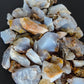 Considered a nurturing stone, Madison Blue Agate is known to absorb negative energy and dissipate it before it can be passed on, an awesome edge to have around the house and office when dealing with daily challenges.  A perfect balance of energy, calming and boosting properties just for you and your environment!  Bundle Weight: 2 lbs