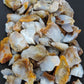Madison Blue Agate bundle.   Known as the Treasure State, Montana’s landscape is an abundant resource for precious and semi-precious stones.  One of the semi-precious stones, Madison Blue Agate, is featured in this group.  This rare stone is hand collected on private land in the mountains of Montana.  These natural unrefined stones can have nooks and crannies, inclusions, or small cracks, these distinguishing features lend character to the piece.