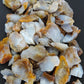 Considered a nurturing stone, Madison Blue Agate is known to absorb negative energy and dissipate it before it can be passed on, an awesome edge to have around the house and office when dealing with daily challenges.  A perfect balance of energy, calming and boosting properties just for you and your environment!  Bundle Weight: 2 lb